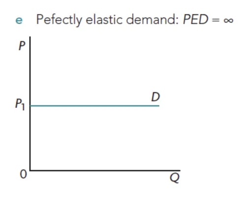 change in price leads to an infinite change in quantity demanded